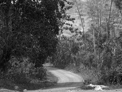 colombia rural road black and white photo