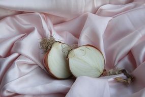 cut onion on fabric