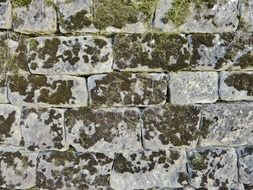 stone wall in green moss