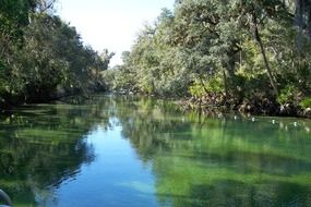 St. Johns river, usa, florida, blue springs State Park
