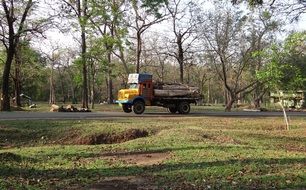timber lorry truck transport