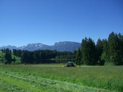 extraordinary beautiful meadow