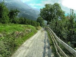 scenic fence landscape, italy