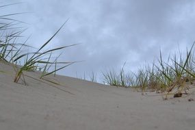 incomparable dunes beach