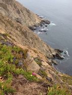 wild rocky coastline, usa, california, point reyes