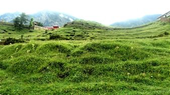green grass mountain landscape