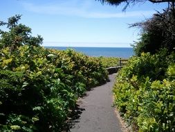 trail path sea scenic nature blue