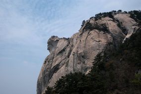 Landscape of mountain and trees