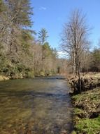 stream river trees