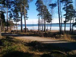 forest landscape by the lake in Espoo, Finland