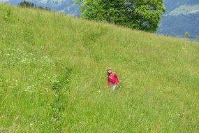 girl in a pink sweater on a green hillside on a sunny day