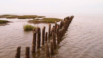 east frisia autumn nature