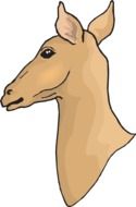 painted deer head without horns