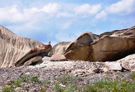 landscape of big rocks in nature