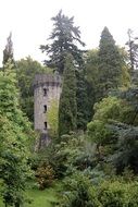 castle tower in the forests of ireland