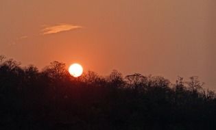 sunset sun over the forest