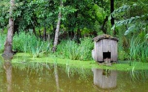 Old wooden cabin on a pond bank