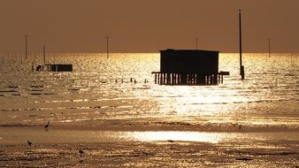 sunlight on the water