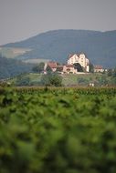 wildegg castle, distant view, switzerland, aargau