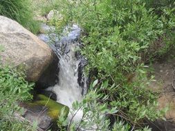 creek flow summer landscape