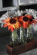unusually beautiful orange autumn flower