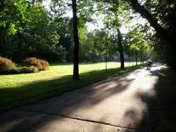 park path in the sunlight