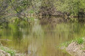 River surface trees Reflection