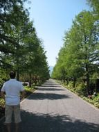 man in a garden alley with landscaping