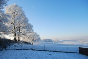 snow frost winter