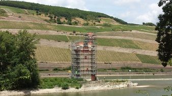 tower among vineyards, germany, saxony