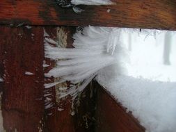 Ice beard on the wood