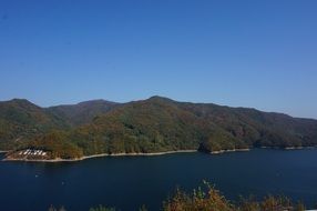 hills with green trees near the river