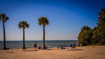 Beautiful seascape with palm trees on the sandy beach with people on Pine Island in Florida