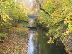 autumn landscape at the zoo of Leipzig