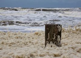 sea foam of the North Sea