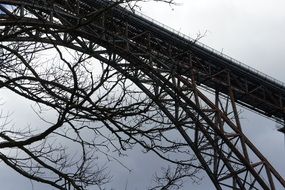 silhouette of the bridge and trees against the gray sky