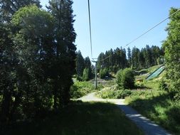 cable car forest