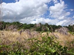 dry grass on the field in Ardeche