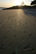 sandy beach in trails in Brittany