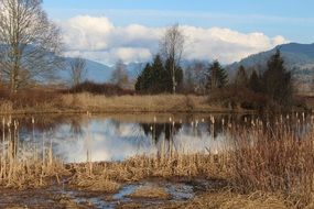 Landscape of pond in Canada