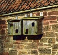 wooden birds box on wall