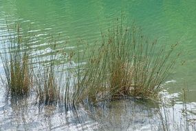 landscape nature water green