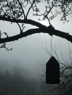 nesting place in a morning time