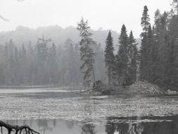 lake in the fog in black and white background