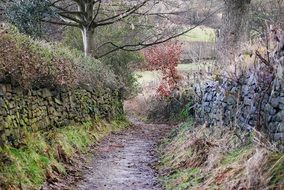 nature outside the countryside