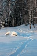 Landscape with the winter in Finland