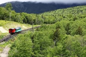 railway in the forest in Hampshire