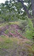old damaged railway at forest