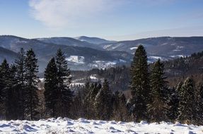 winter forest on background of the mountains in Poland