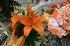 Tiger lilies in a bouquet